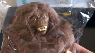GI Joe Search for the Sasquatch