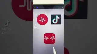App Mashup: Musical.ly + TikTok