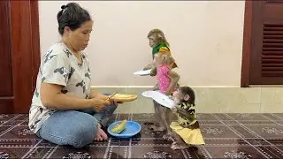 3 Sisters Stand Up In LINE Very Mannerly Waiting Mom To Slice Papaya For Them To Eat Very Sugary!!