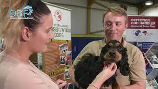 DBF Exhibition - The Centre of Engagement for Businesses