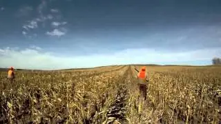 Dakota Ringneck 2010 - The Hunt