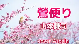 新曲【鶯便り】山本謙司さん/cover麻生新