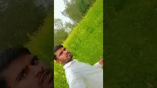 #vlog reel 💥💫✨ haryali 💐🥰 non fallow r reader TM ✅✅✅🥬🥀🌿🌿