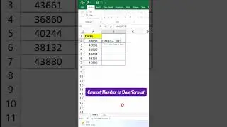 Convert Number to Date Format using Text Function #shorts