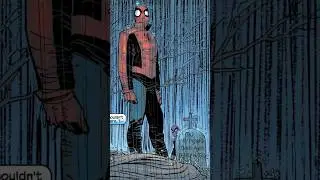 Spiderman Sees His Own Death&hellip;