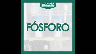 F&Oacute;SFORO - Carencia Mononutrientes - Gu&iacute;a Deficiencia