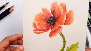 Realistic flower using Derwent Inktense color pencils
