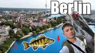 Hauptstadt-Barsche - Angeln in Berlin K&ouml;penick 🎣🤩