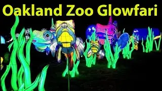 Oakland Zoo Glowfari