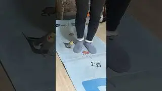 This parrot and its owner are singing together. #birds #parrots #parrot #pets #shorts #cute