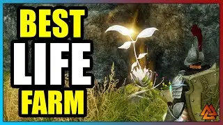 New World: How to Farm Tons of Lifebloom FAST! Level Crafting or Make Gold!
