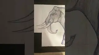 Indian elephant - preistoric beast from the plains of south - east Asia