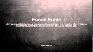 Medical vocabulary: What does Fossil Fuels mean