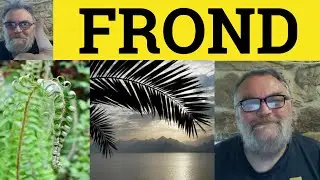 😎 Frond Meaning - Frond Definition - Frond Examples - Leaves - Fronds
