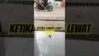 ZX Ketemu ZX 😂 #egiemc #zx25r