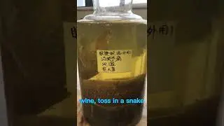 Snake Wine! 🐍🍷