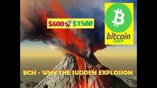 BCH to the MOON !! What is causing the PUMP ?? Hardfork ??