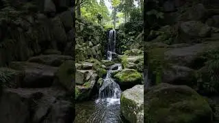 Healing Frequencies & Nature Water Sounds for Deep Sleep, Melatonin Boost   #healingmusic