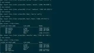 Enforcing the  Not Null  Constraint