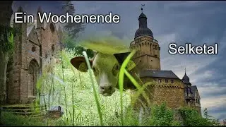Selketal , Burg Falkenstein ,