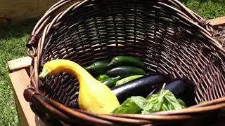 Our Garden Harvest | Your Back Yard Raleigh