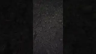 videos related to this email and delete this message was automatically