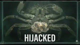 This is NOT a Crab Anymore