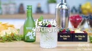How To Drink Sake - 