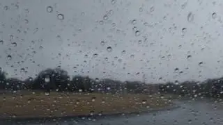 RPRZ Talktopus Rain