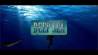 [GL-GDC-2020] Omega Game Developer - Deep Sea