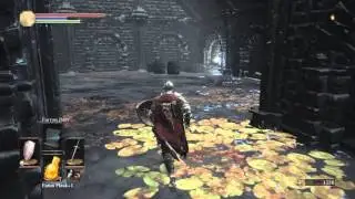 DARK SOULS 3 Sage Ring Location