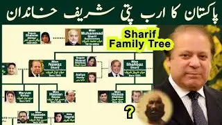 &ldquo;How Rich is the Sharif Family? PMLN&rsquo;s Wealth Exposed 2025&rdquo;