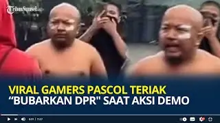 Sosok Streamer Gamers Pascol Yang Nekat Teriaki 
