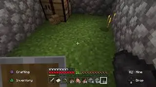 Lets continue on on our Minecraft journey #2