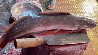 Amazing Cutting Skills | Big Catfish Cutting By Expert Fish Cutter