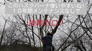 ２５年間 無剪定の栗畑の手入れしました！