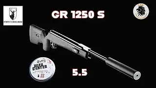 Artemis GR1250S .22 Cal Test at 25 Yards | JTS Dead Center 18.1gn Pellets
