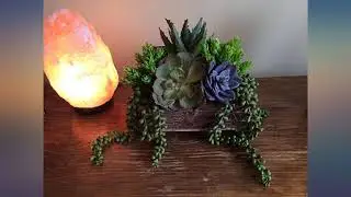 Meneco Faux Succulents Artificial Plants &ndash; 16 Pack Lifelike Fake Succulent Plants review