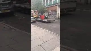 Moving trees 🌲