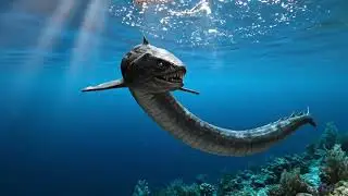 The Ultimate Journey: Don't Miss Out on The Astonishing Wonders Beneath the Ocean