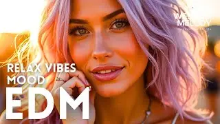 A Chill EDM x Lo-Fi Mix That Feels Like Warmth 🎧 Soft Beats for Soul, Focus & Relax