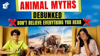 The Truth About Animals | Debunking Common Myths and Misconceptions | Billi Productions
