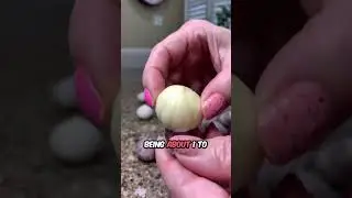 this garlic has no cloves