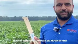 Petiole Testing in Cotton for In Season Nitrogen Management
