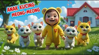 ANAK KUCING MEONG-MEONG - KUMPULAN LAGU ANAK DAN BALITA TERPOPULER | Mr KIDS SONG