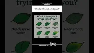Plants do speak. You just have to learn their language it&rsquo;s written in their leaves #skills #habits
