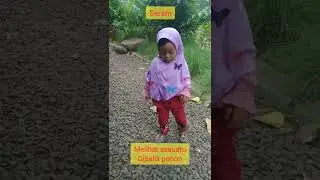 Anak Indigo Pasti Tau,Dibalik Pohon Itu #seram #indigo #shorts