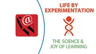 Study Music: Playlists + Focus at Will Review (Life by Experimentation)