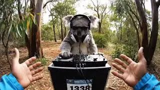You Find the Secret Aussie Bush Doof