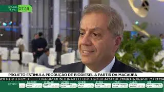 Projeto estimula produção de biodiesel a partir de macaúba